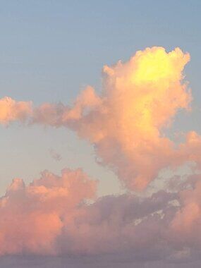 Welcome to my closet! Items currently reside in a smoke free, pet friendly home.